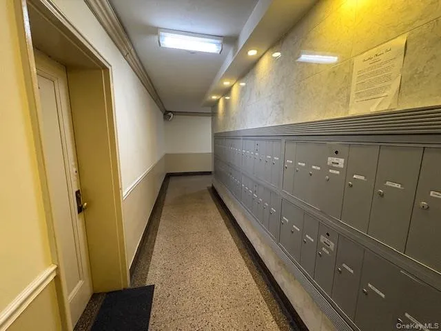 2220 Burnett Street, New York, NY, 1 Bedroom Bedrooms, 3 Rooms Rooms,1 BathroomBathrooms,Residential,For Rent,Burnett,0,966478 2220 Burnett Street, New York, NY, 1 Bedroom Bedrooms, 3 Rooms Rooms,1 BathroomBathrooms,Residential,For Rent,Burnett,0,966478