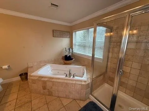 Bathroom featuring a stall shower, crown molding, a garden tub, and tile patterned floors Bathroom featuring a stall shower, crown molding, a garden tub, and tile patterned floors