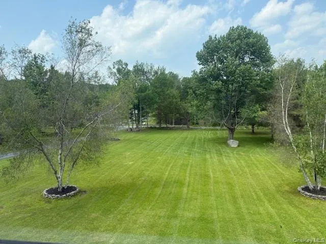 Large well maintained yard Large well maintained yard
