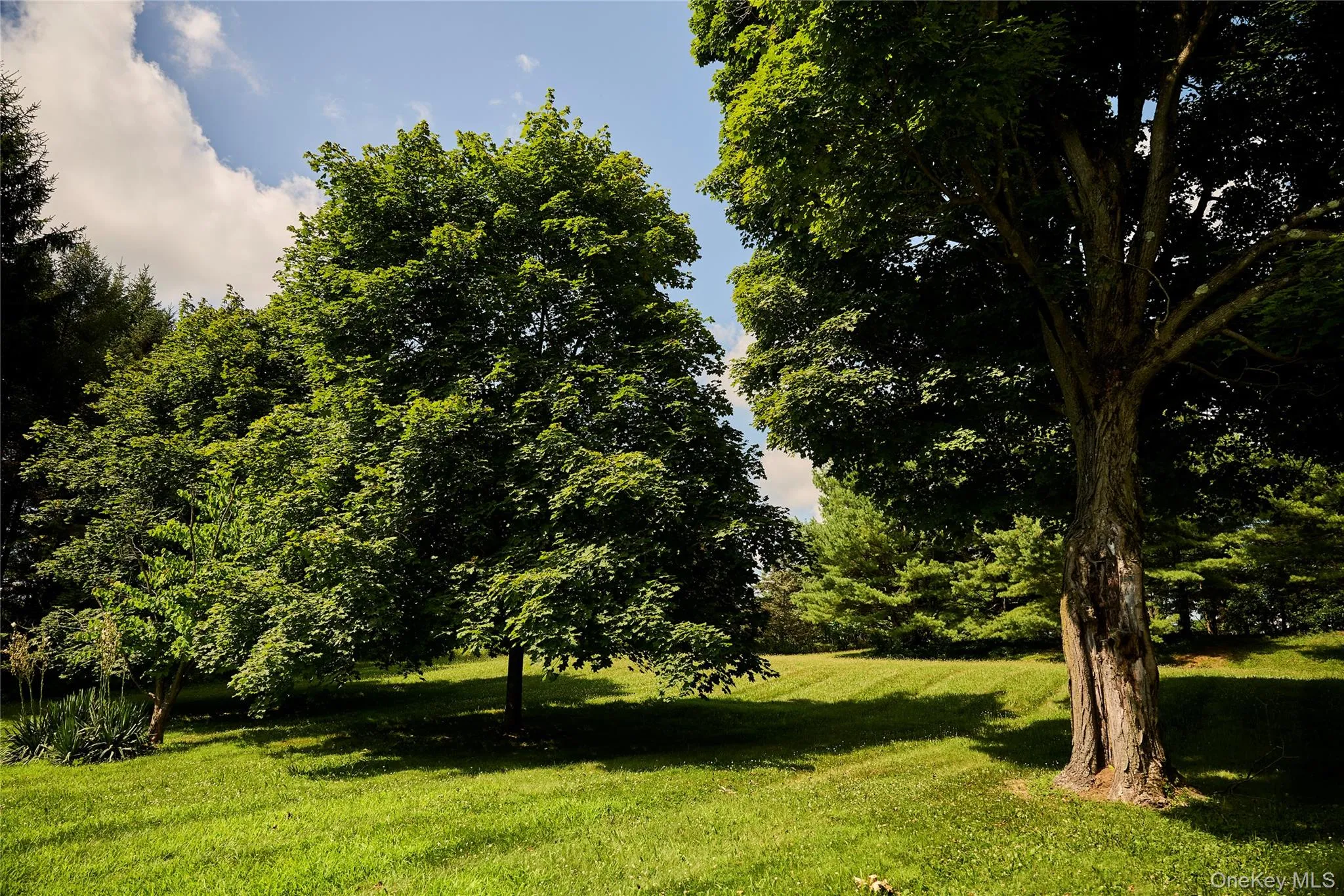 41 Seelbach Lane, Hyde Park, NY, 5 Bedrooms Bedrooms, 8 Rooms Rooms,2 BathroomsBathrooms,Residential Lease,For Rent,Seelbach,0,966853 41 Seelbach Lane, Hyde Park, NY, 5 Bedrooms Bedrooms, 8 Rooms Rooms,2 BathroomsBathrooms,Residential Lease,For Rent,Seelbach,0,966853