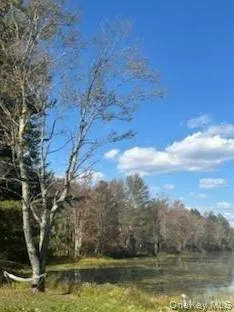 10 Dorm Drive, Fallsburg, NY, 5 Bedrooms Bedrooms, 10 Rooms Rooms,3 BathroomsBathrooms,Residential,For Rent,Dorm Drive,0,967062 10 Dorm Drive, Fallsburg, NY, 5 Bedrooms Bedrooms, 10 Rooms Rooms,3 BathroomsBathrooms,Residential,For Rent,Dorm Drive,0,967062