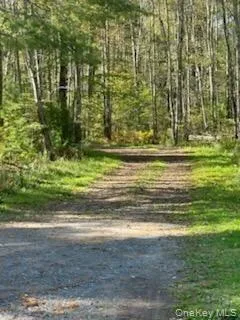 10 Dorm Drive, Fallsburg, NY, 5 Bedrooms Bedrooms, 10 Rooms Rooms,3 BathroomsBathrooms,Residential,For Rent,Dorm Drive,0,967062 10 Dorm Drive, Fallsburg, NY, 5 Bedrooms Bedrooms, 10 Rooms Rooms,3 BathroomsBathrooms,Residential,For Rent,Dorm Drive,0,967062