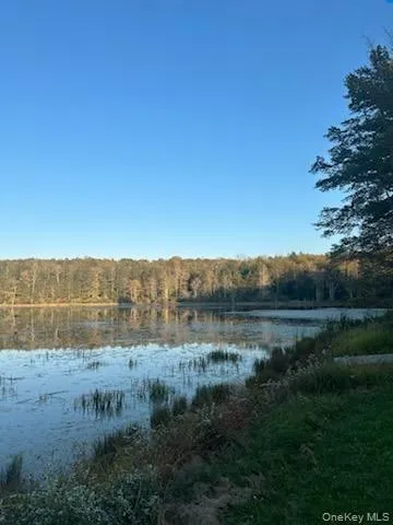 10 Dorm Drive, Fallsburg, NY, 5 Bedrooms Bedrooms, 10 Rooms Rooms,3 BathroomsBathrooms,Residential,For Rent,Dorm Drive,0,967062 10 Dorm Drive, Fallsburg, NY, 5 Bedrooms Bedrooms, 10 Rooms Rooms,3 BathroomsBathrooms,Residential,For Rent,Dorm Drive,0,967062