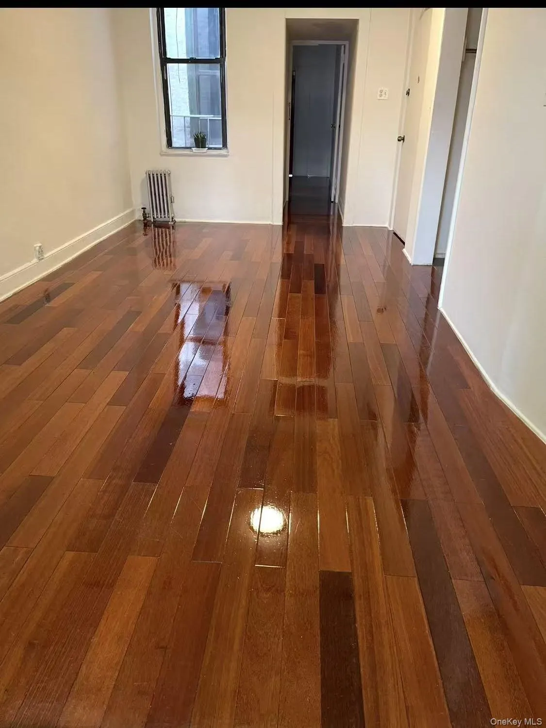 185 manahan st, New York, NY, 1 Bedroom Bedrooms, 4 Rooms Rooms,1 BathroomBathrooms,Residential Lease,For Rent,manahan st,0,967163 185 manahan st, New York, NY, 1 Bedroom Bedrooms, 4 Rooms Rooms,1 BathroomBathrooms,Residential Lease,For Rent,manahan st,0,967163