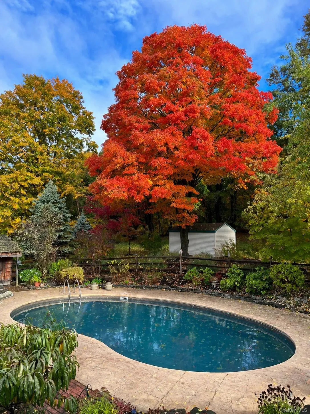 93 Horton Road, Blooming Grove, NY, 4 Bedrooms Bedrooms, 10 Rooms Rooms,3 BathroomsBathrooms,Residential Sale,For Rent,Horton,0,967282 93 Horton Road, Blooming Grove, NY, 4 Bedrooms Bedrooms, 10 Rooms Rooms,3 BathroomsBathrooms,Residential Sale,For Rent,Horton,0,967282