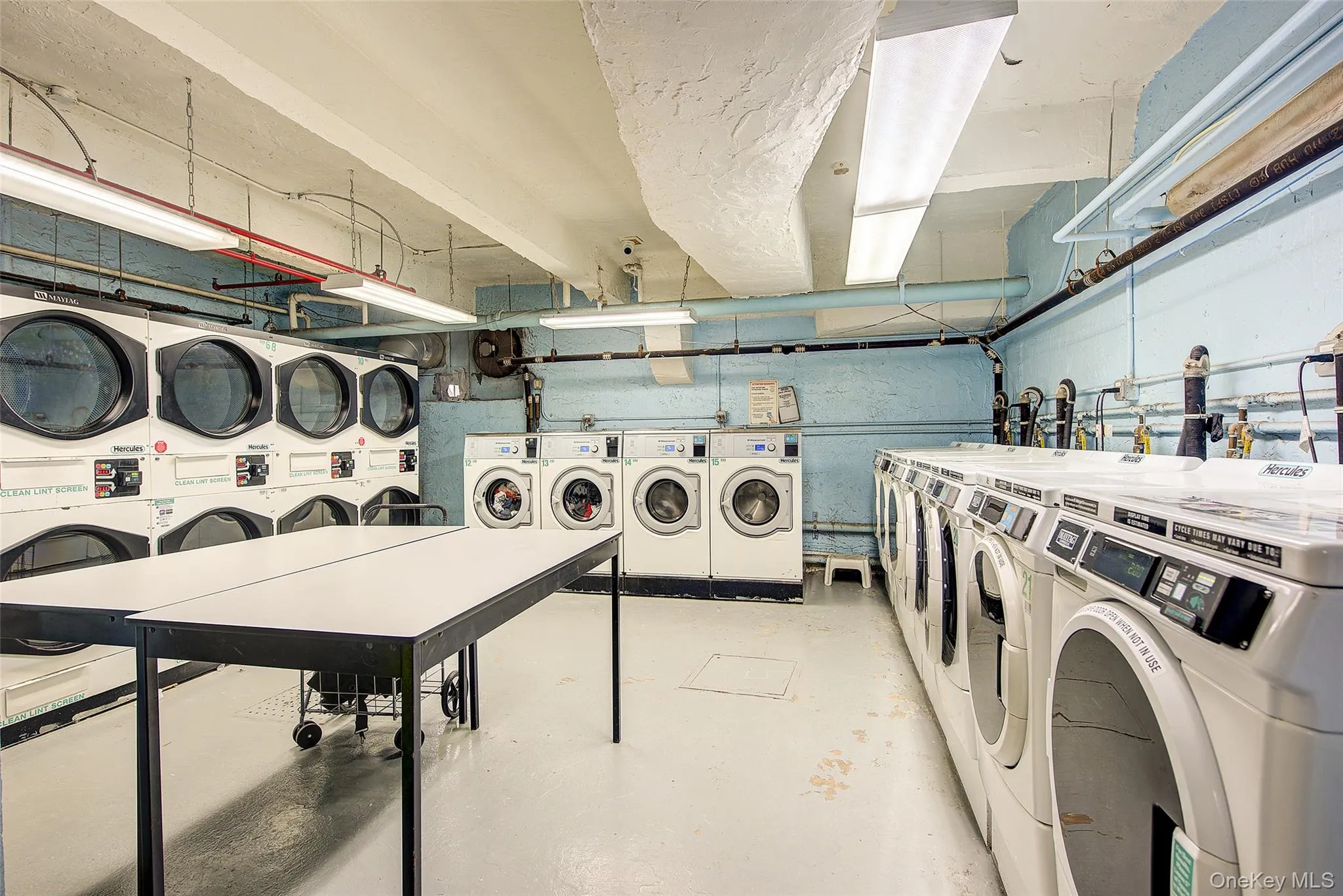 83-30 Vietor Avenue, New York, NY, 1 Bedroom Bedrooms, 4 Rooms Rooms,1 BathroomBathrooms,Residential,For Rent,Vietor,0,967394 83-30 Vietor Avenue, New York, NY, 1 Bedroom Bedrooms, 4 Rooms Rooms,1 BathroomBathrooms,Residential,For Rent,Vietor,0,967394