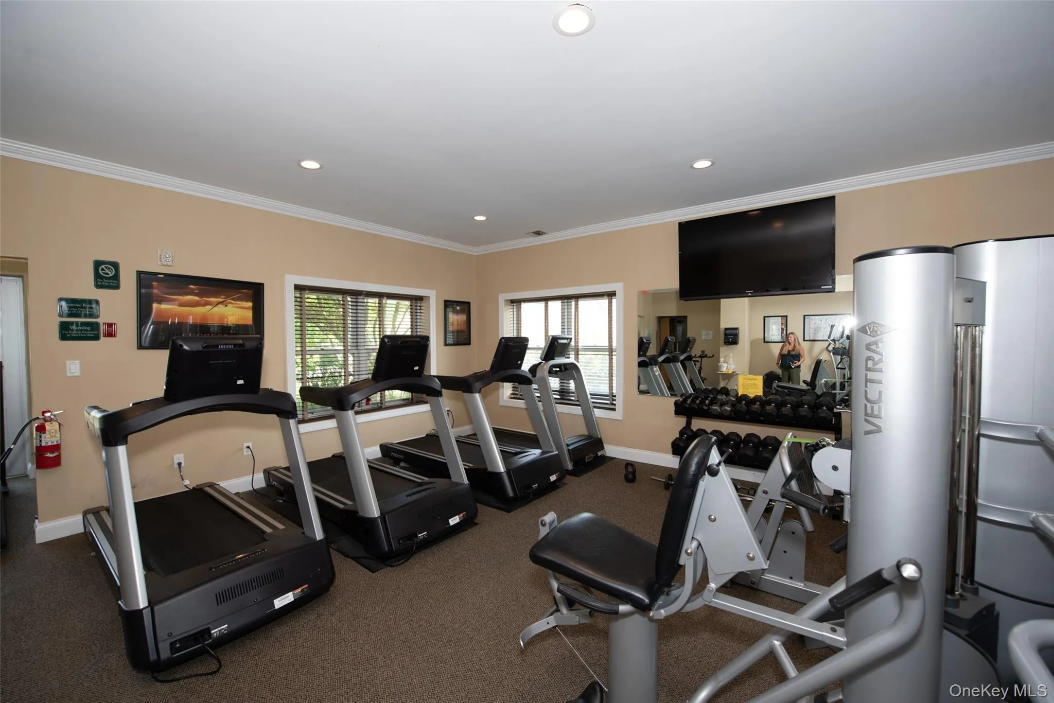 210 Erik Drive, Brookhaven, NY, 2 Bedrooms Bedrooms, 5 Rooms Rooms,2 BathroomsBathrooms,Residential,For Rent,Erik,0,967426 210 Erik Drive, Brookhaven, NY, 2 Bedrooms Bedrooms, 5 Rooms Rooms,2 BathroomsBathrooms,Residential,For Rent,Erik,0,967426