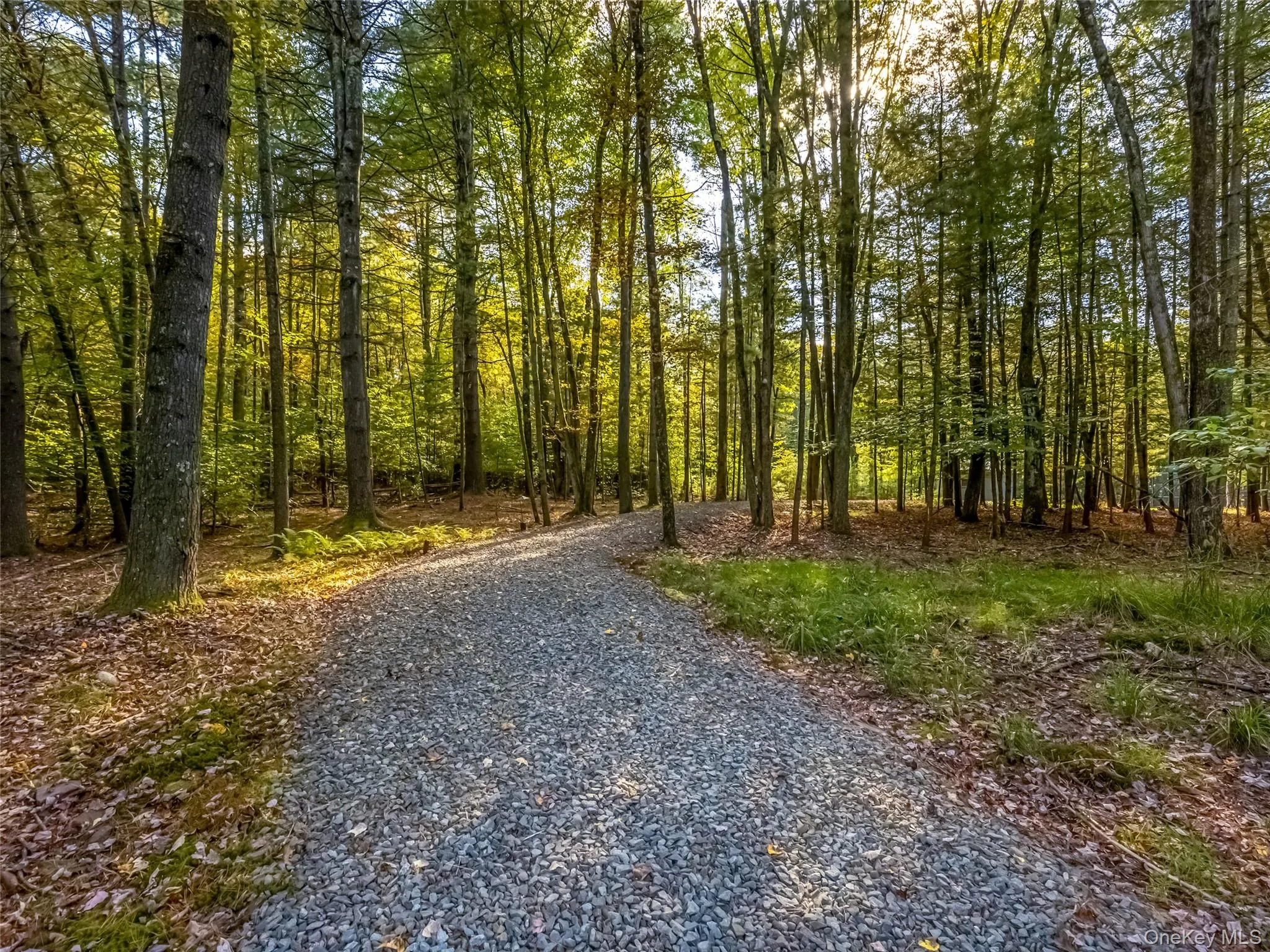 61 Top Ridge Trail, Bethel, NY, 5 Bedrooms Bedrooms, 14 Rooms Rooms,5 BathroomsBathrooms,Residential,For Rent,Top Ridge,0,967444 61 Top Ridge Trail, Bethel, NY, 5 Bedrooms Bedrooms, 14 Rooms Rooms,5 BathroomsBathrooms,Residential,For Rent,Top Ridge,0,967444