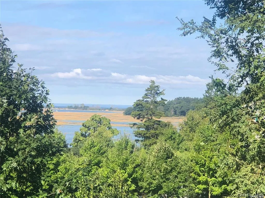 View From Deck View From Deck