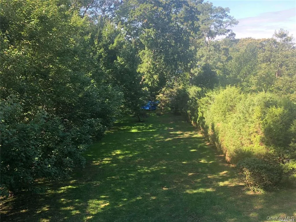 Rear Yard in Summer Rear Yard in Summer