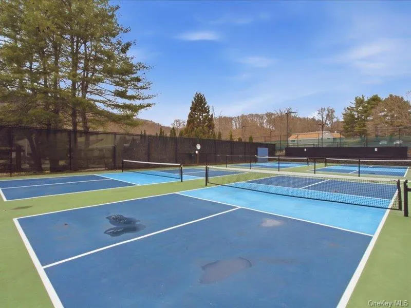 Pickleball Pickleball