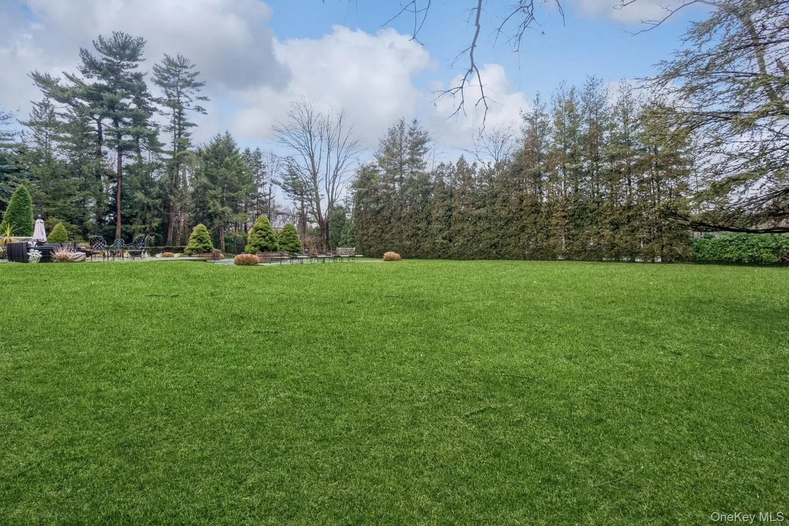 85 Eleventh Street, Hempstead, NY, 7 Bedrooms Bedrooms, 16 Rooms Rooms,6 BathroomsBathrooms,Residential,For Rent,Eleventh,0,967556 85 Eleventh Street, Hempstead, NY, 7 Bedrooms Bedrooms, 16 Rooms Rooms,6 BathroomsBathrooms,Residential,For Rent,Eleventh,0,967556