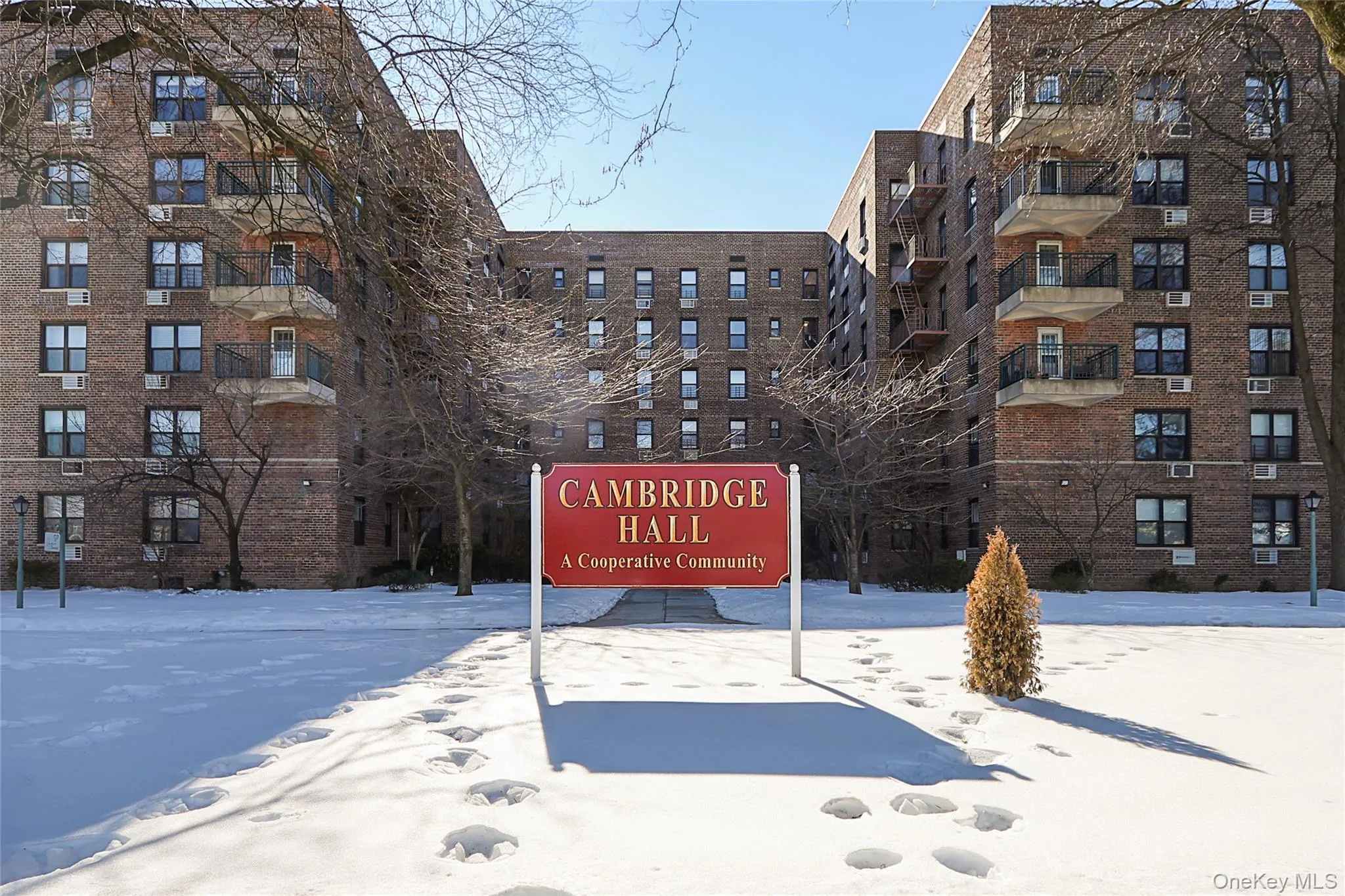 224-24 Union Turnpike, New York, NY, 2 Bedrooms Bedrooms, 4 Rooms Rooms,1 BathroomBathrooms,Residential,For Rent,Union,0,967659 224-24 Union Turnpike, New York, NY, 2 Bedrooms Bedrooms, 4 Rooms Rooms,1 BathroomBathrooms,Residential,For Rent,Union,0,967659