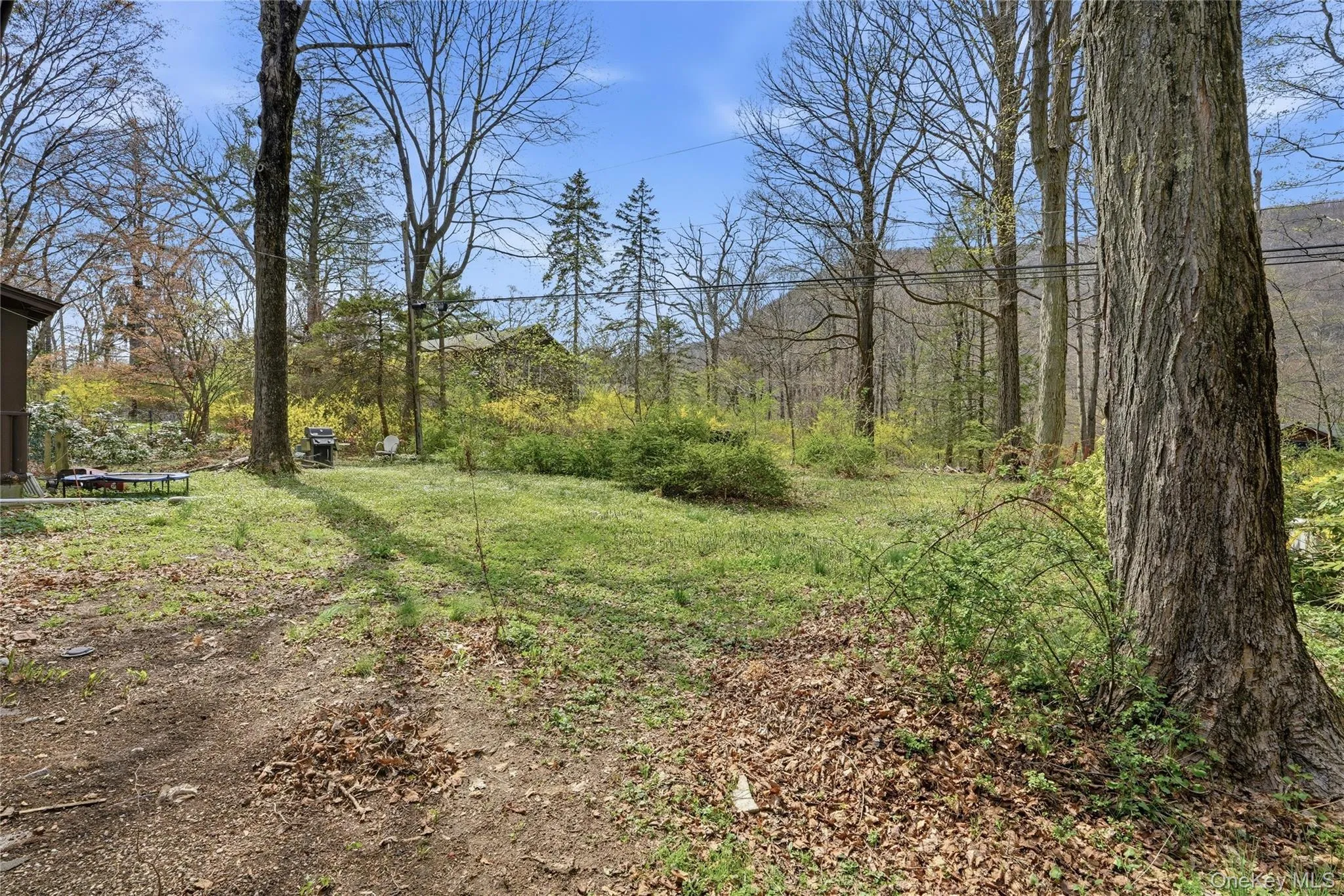 The property features an expansive lawn area with mature trees and visible mountain views in the background The property features an expansive lawn area with mature trees and visible mountain views in the background