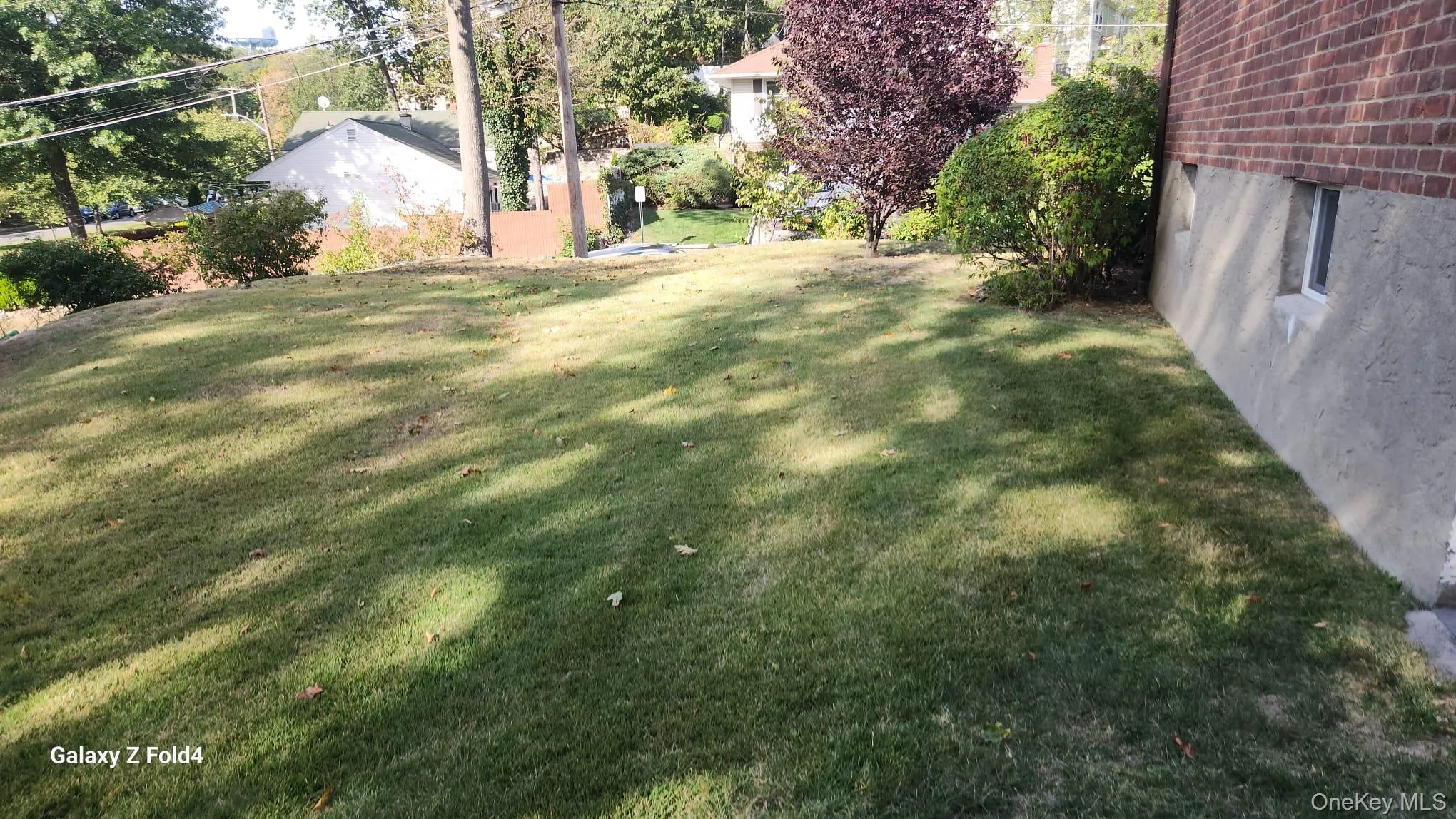 Side Yard Side Yard