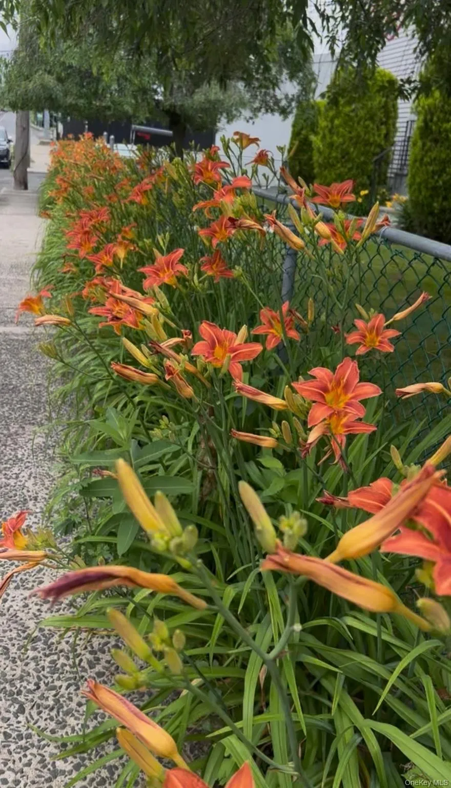 7 White Plains Avenue, Greenburgh, NY, 4 Bedrooms Bedrooms, 6 Rooms Rooms,3 BathroomsBathrooms,Residential Lease,For Rent,White Plains,0,967757 7 White Plains Avenue, Greenburgh, NY, 4 Bedrooms Bedrooms, 6 Rooms Rooms,3 BathroomsBathrooms,Residential Lease,For Rent,White Plains,0,967757