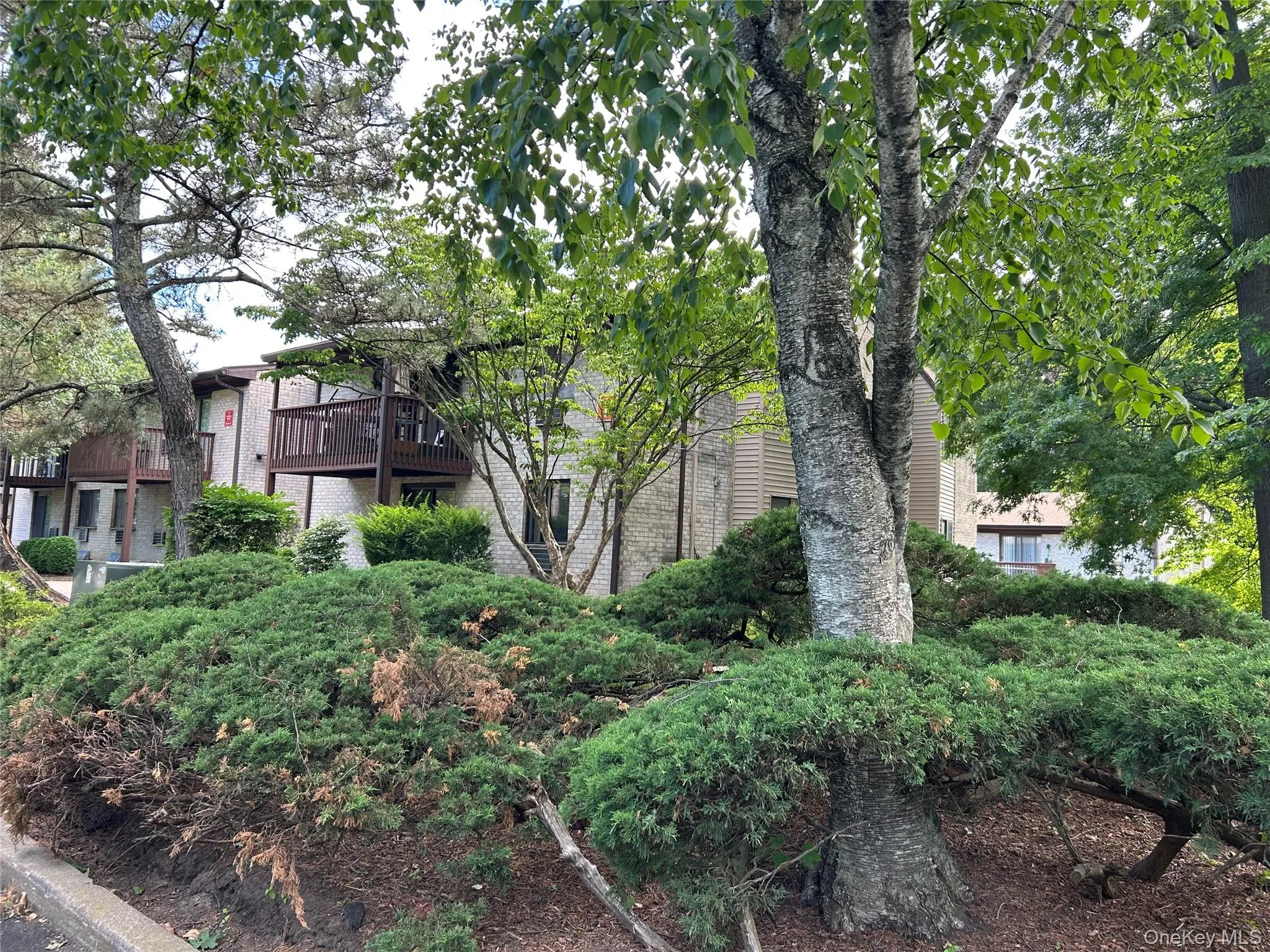 2 Secora Road, Ramapo, NY, 2 Bedrooms Bedrooms, 5 Rooms Rooms,2 BathroomsBathrooms,Residential,For Rent,Secora,0,967945 2 Secora Road, Ramapo, NY, 2 Bedrooms Bedrooms, 5 Rooms Rooms,2 BathroomsBathrooms,Residential,For Rent,Secora,0,967945