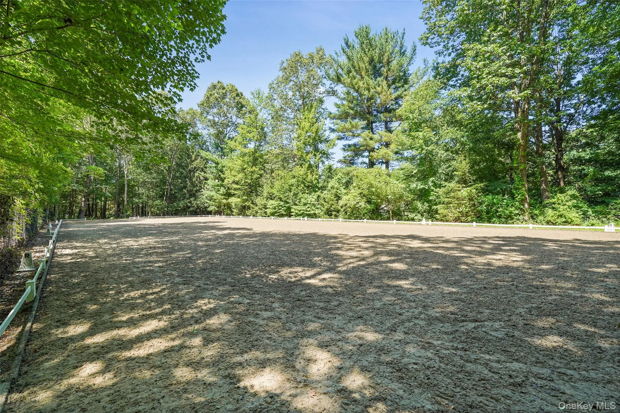 48 Davids Way, Bedford, NY, 4 Bedrooms Bedrooms, 10 Rooms Rooms,5 BathroomsBathrooms,Residential,For Rent,Davids,0,967950 48 Davids Way, Bedford, NY, 4 Bedrooms Bedrooms, 10 Rooms Rooms,5 BathroomsBathrooms,Residential,For Rent,Davids,0,967950
