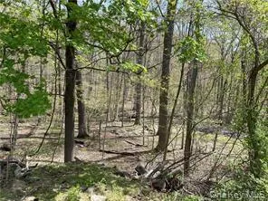 458 Pascack Road, Ramapo, NY, ,Land,For Rent,Pascack,0,967980 458 Pascack Road, Ramapo, NY, ,Land,For Rent,Pascack,0,967980