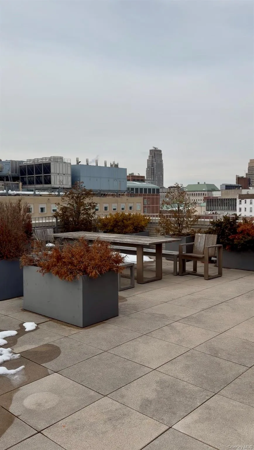 Rooftop Deck Rooftop Deck