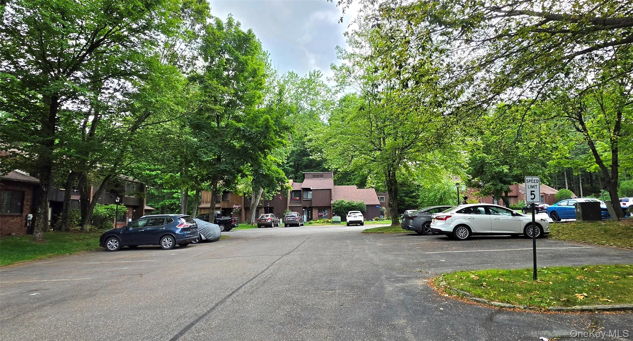 7 Cedar Park, Thompson, NY, 3 Bedrooms Bedrooms, 6 Rooms Rooms,1 BathroomBathrooms,Residential,For Rent,Cedar,0,968421 7 Cedar Park, Thompson, NY, 3 Bedrooms Bedrooms, 6 Rooms Rooms,1 BathroomBathrooms,Residential,For Rent,Cedar,0,968421