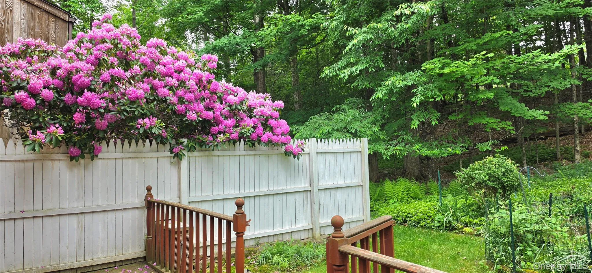 7 Cedar Park, Thompson, NY, 3 Bedrooms Bedrooms, 6 Rooms Rooms,1 BathroomBathrooms,Residential,For Rent,Cedar,0,968421 7 Cedar Park, Thompson, NY, 3 Bedrooms Bedrooms, 6 Rooms Rooms,1 BathroomBathrooms,Residential,For Rent,Cedar,0,968421