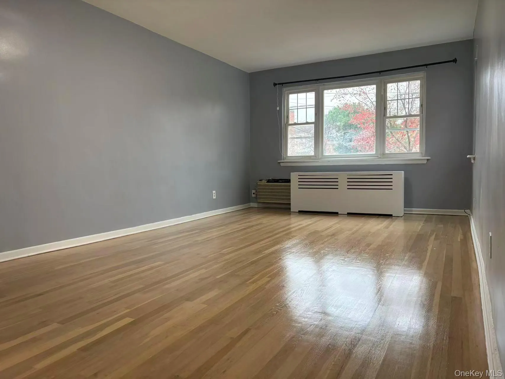 Empty room with radiator and light wood-style flooring Empty room with radiator and light wood-style flooring
