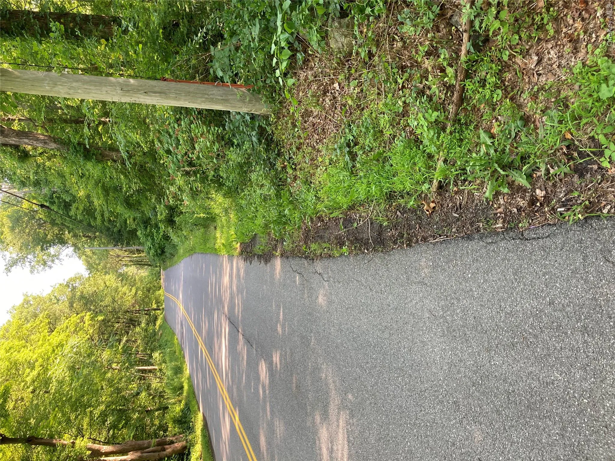 View of asphalt road featuring a forest view View of asphalt road featuring a forest view
