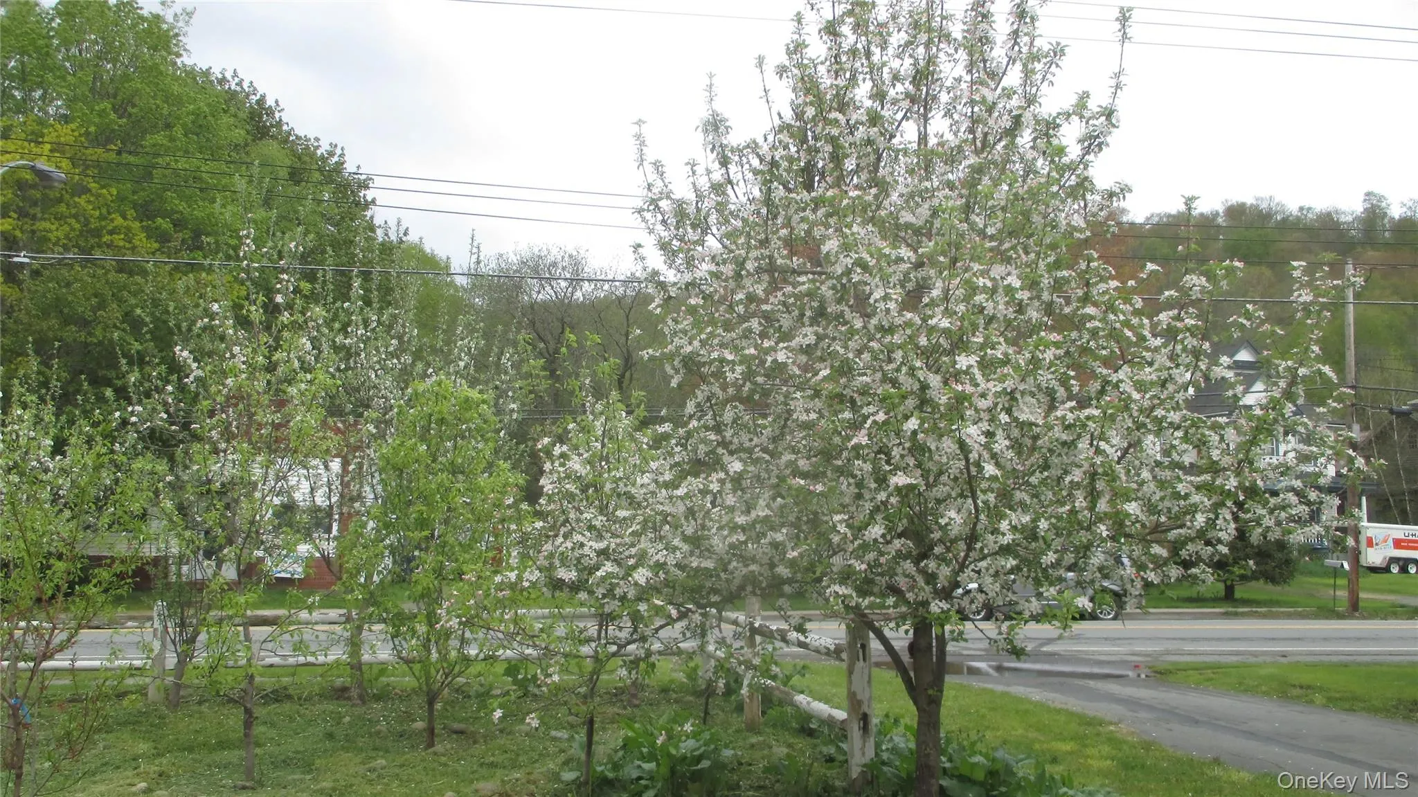 876 Branch Hortonville Road, Callicoon, NY, 2 Bedrooms Bedrooms, 9 Rooms Rooms,2 BathroomsBathrooms,Residential,For Rent,Branch Hortonville,0,968567 876 Branch Hortonville Road, Callicoon, NY, 2 Bedrooms Bedrooms, 9 Rooms Rooms,2 BathroomsBathrooms,Residential,For Rent,Branch Hortonville,0,968567