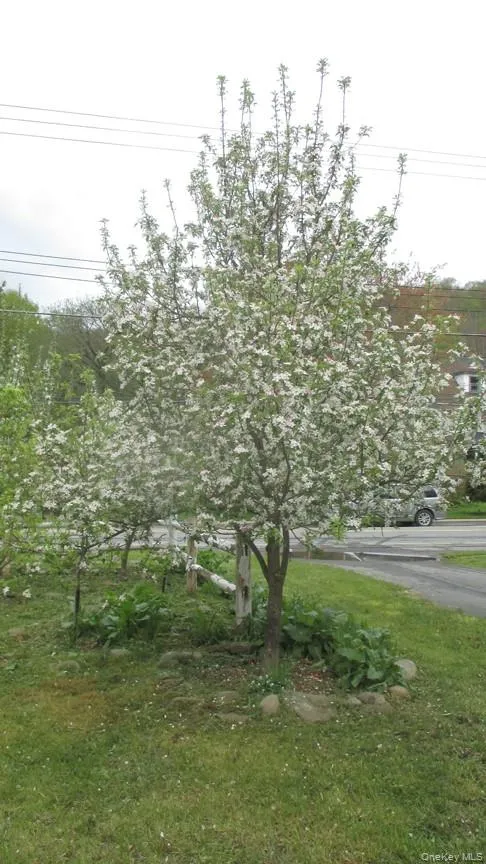 876 Branch Hortonville Road, Callicoon, NY, 2 Bedrooms Bedrooms, 9 Rooms Rooms,2 BathroomsBathrooms,Residential,For Rent,Branch Hortonville,0,968567 876 Branch Hortonville Road, Callicoon, NY, 2 Bedrooms Bedrooms, 9 Rooms Rooms,2 BathroomsBathrooms,Residential,For Rent,Branch Hortonville,0,968567