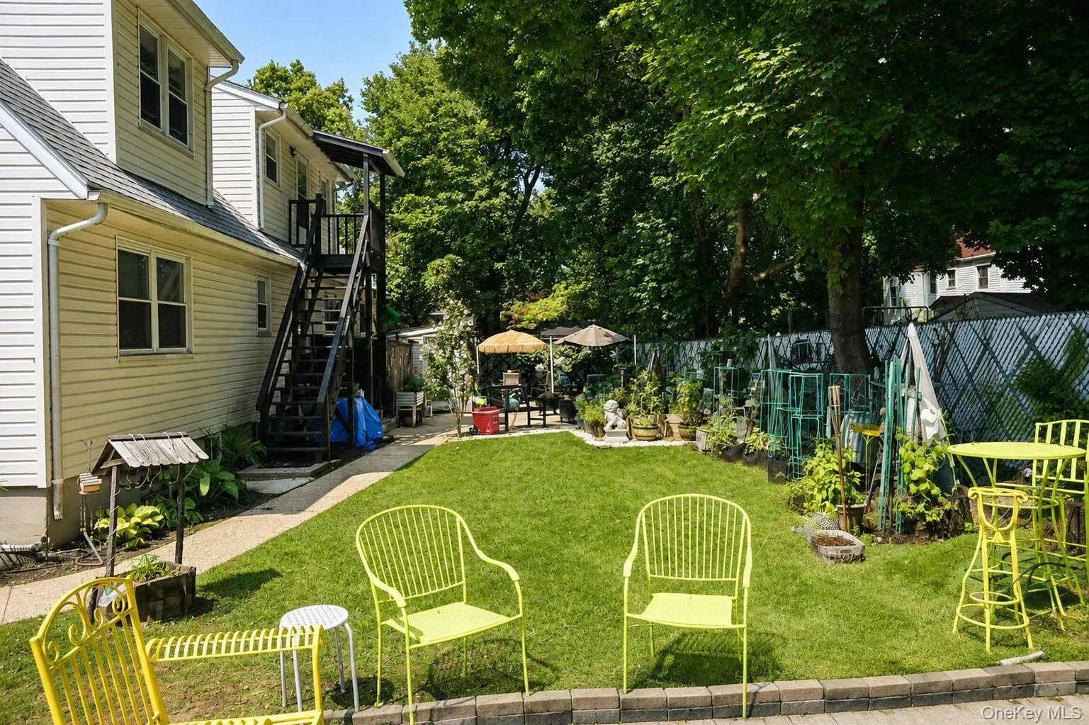 Backyard Backyard