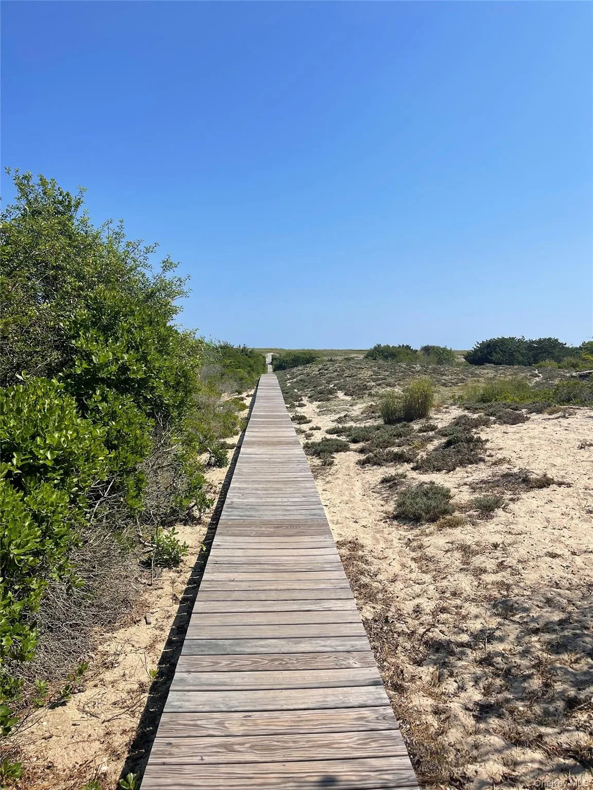 379 Bluff Road, East Hampton, NY, 1 Bedroom Bedrooms, 3 Rooms Rooms,1 BathroomBathrooms,Residential Sale,For Rent,Bluff,0,968679 379 Bluff Road, East Hampton, NY, 1 Bedroom Bedrooms, 3 Rooms Rooms,1 BathroomBathrooms,Residential Sale,For Rent,Bluff,0,968679