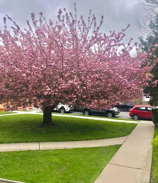 36-44 172 Street, New York, NY, 2 Bedrooms Bedrooms, 6 Rooms Rooms,1 BathroomBathrooms,Residential,For Rent,172,0,968802 36-44 172 Street, New York, NY, 2 Bedrooms Bedrooms, 6 Rooms Rooms,1 BathroomBathrooms,Residential,For Rent,172,0,968802