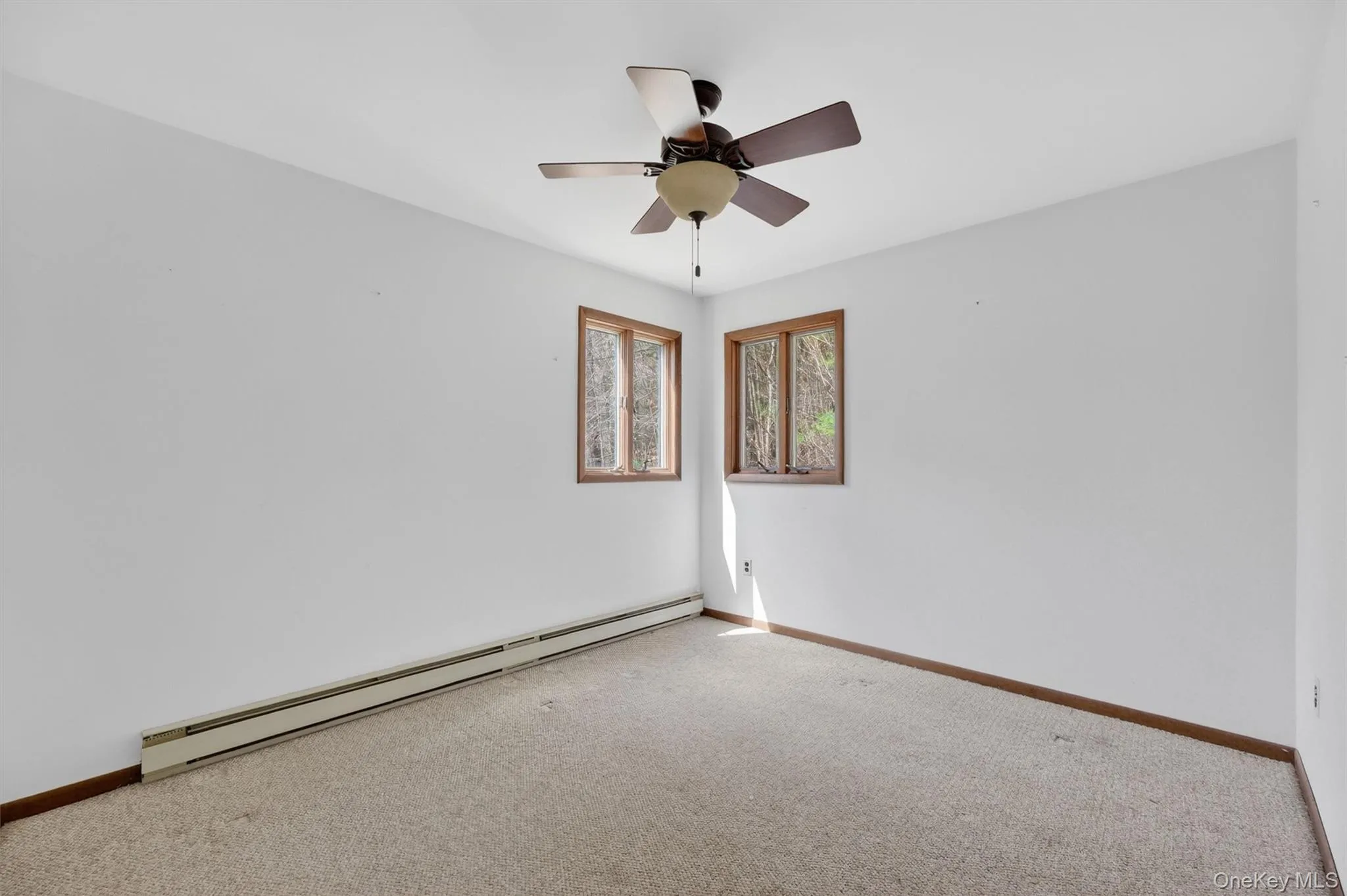 Ceiling Fan Ceiling Fan