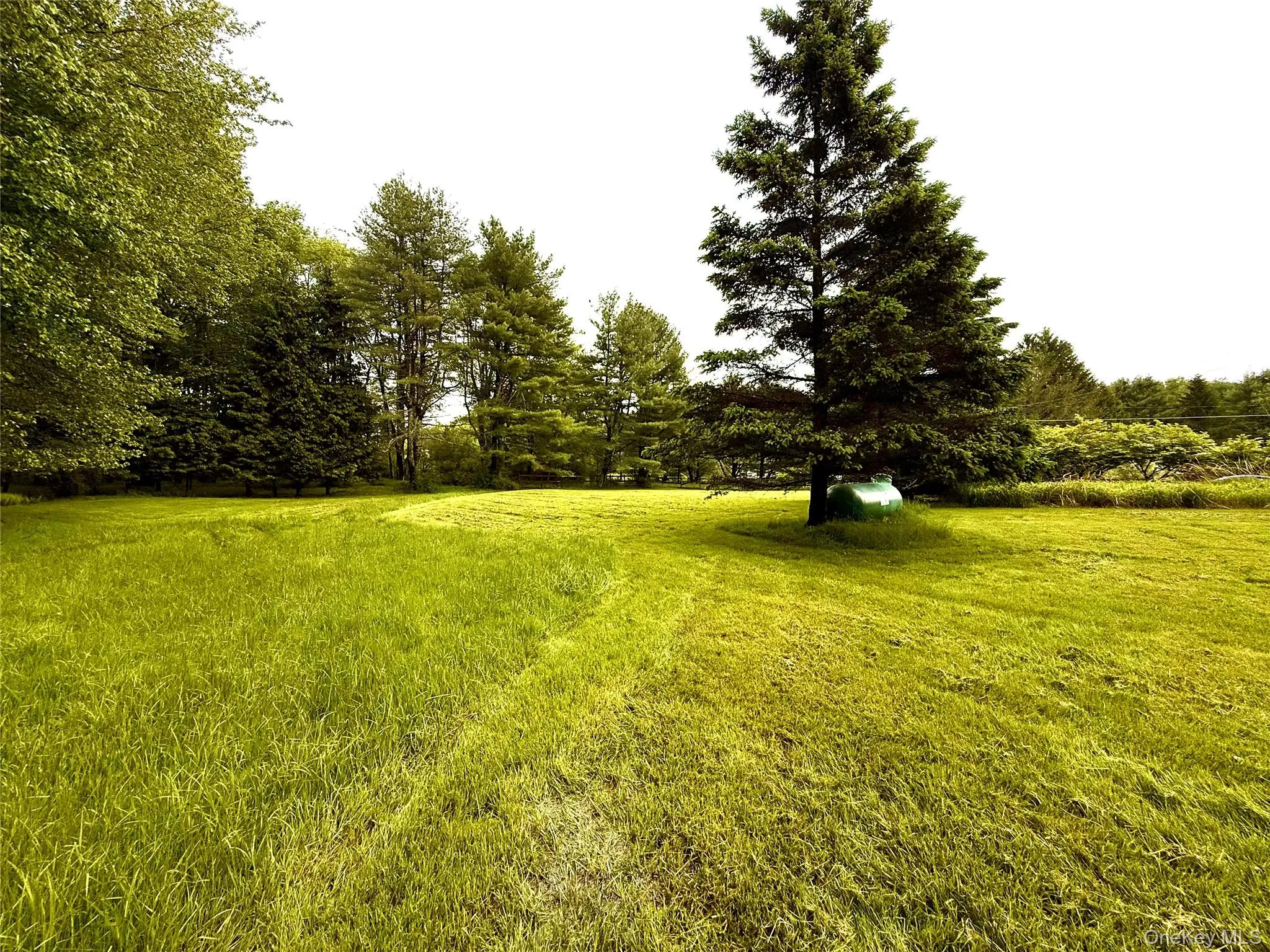 38 Moscoe Road, Bethel, NY, 4 Bedrooms Bedrooms, 8 Rooms Rooms,2 BathroomsBathrooms,Residential,For Rent,Moscoe,0,968845 38 Moscoe Road, Bethel, NY, 4 Bedrooms Bedrooms, 8 Rooms Rooms,2 BathroomsBathrooms,Residential,For Rent,Moscoe,0,968845