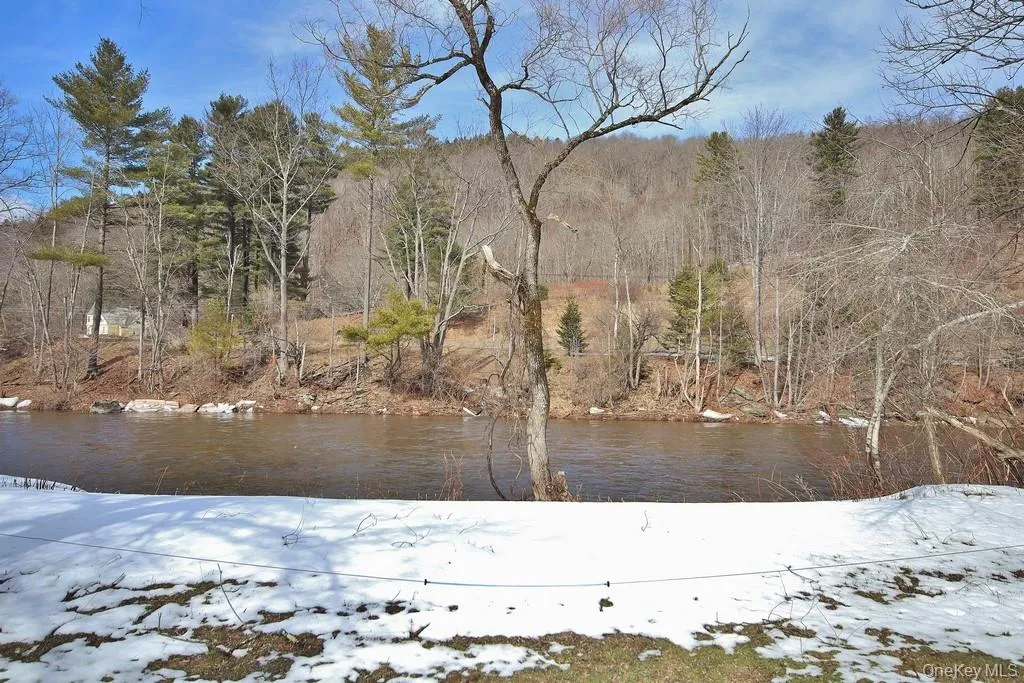 Willowemoc Creek Willowemoc Creek