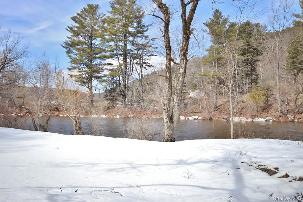 Willowemoc Creek Willowemoc Creek