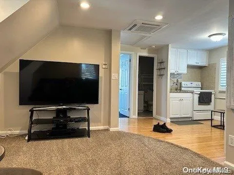 Carpeted living area with baseboards, visible vents, wood finished floors, a sink, and recessed lighting Carpeted living area with baseboards, visible vents, wood finished floors, a sink, and recessed lighting