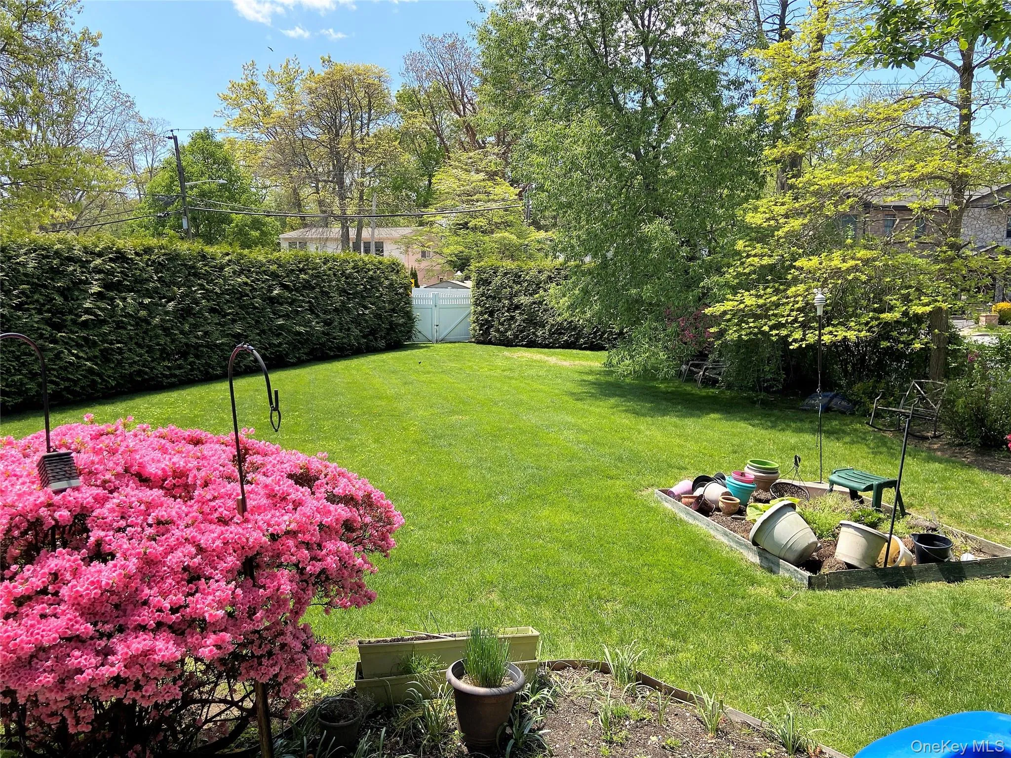 Yard with Vegetable Garden and Patio Yard with Vegetable Garden and Patio