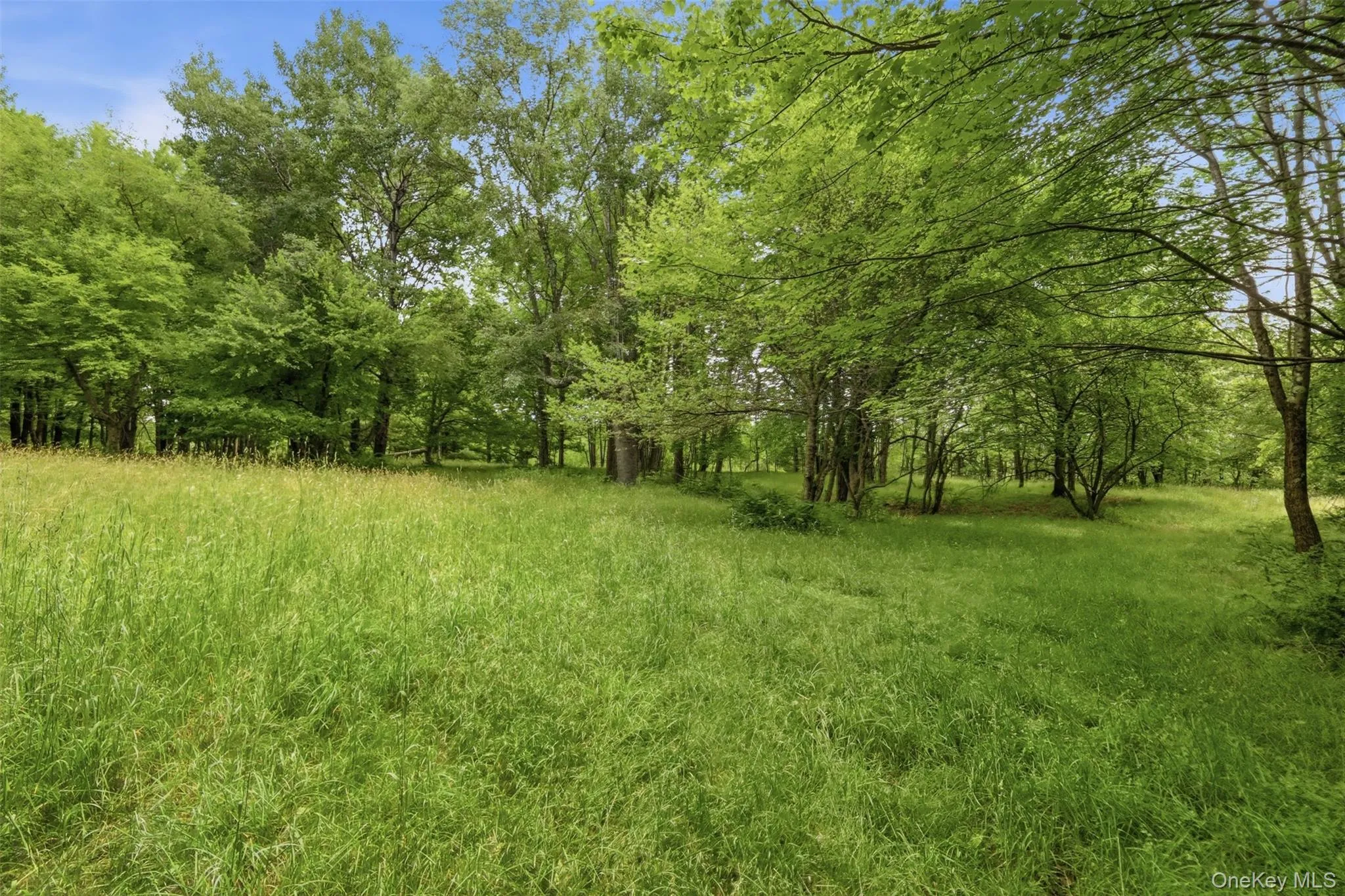 The perfect location for your chicken coop and organic gardens The perfect location for your chicken coop and organic gardens