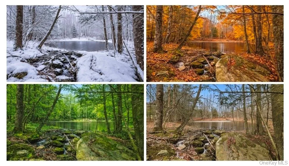 Bottom right photo is the pond on the property, the other 3 are virtual representations of all the seasons Bottom right photo is the pond on the property, the other 3 are virtual representations of all the seasons