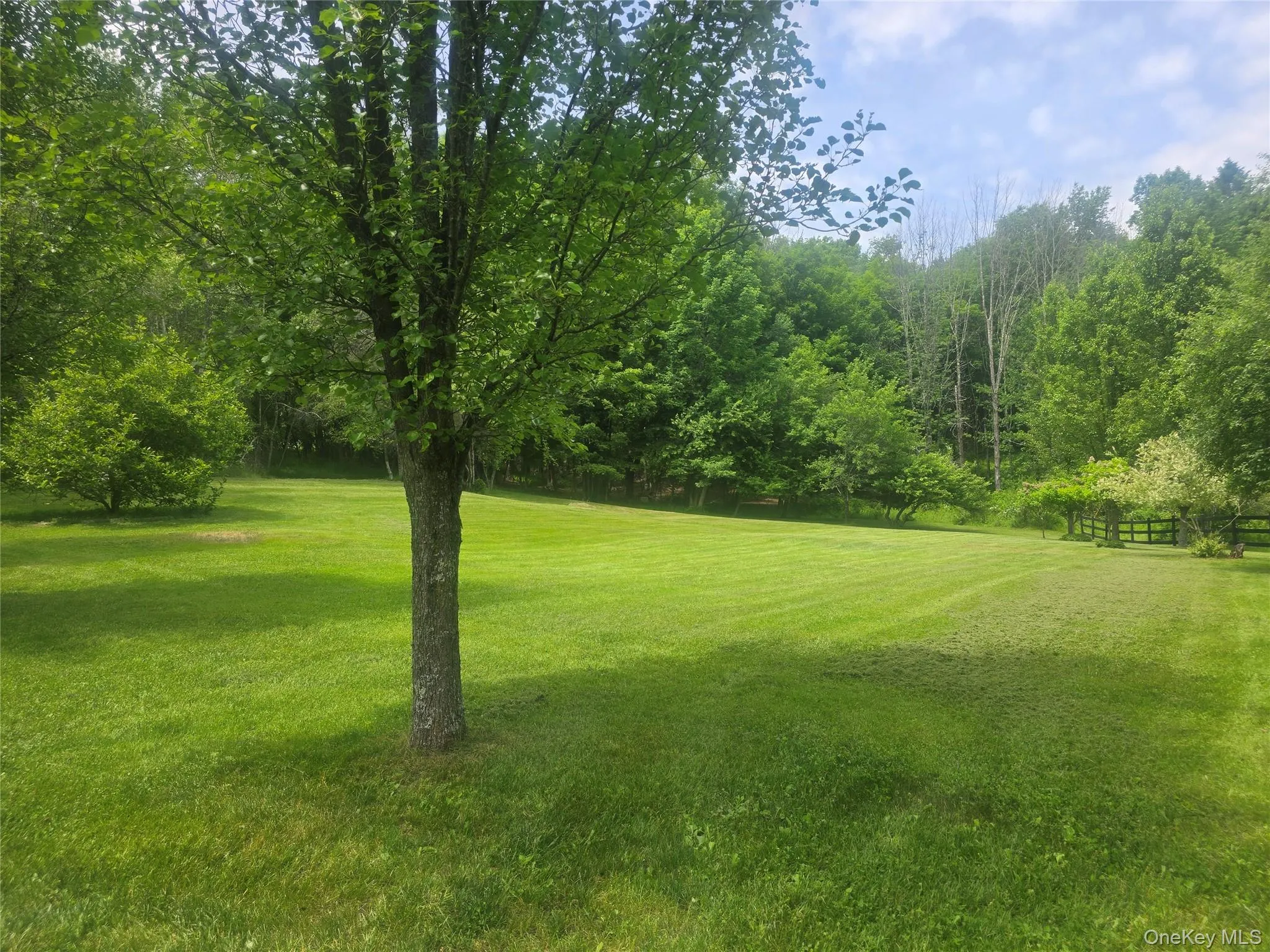 California Avenue, Liberty, NY, ,Land,For Rent,California,0,968992 California Avenue, Liberty, NY, ,Land,For Rent,California,0,968992
