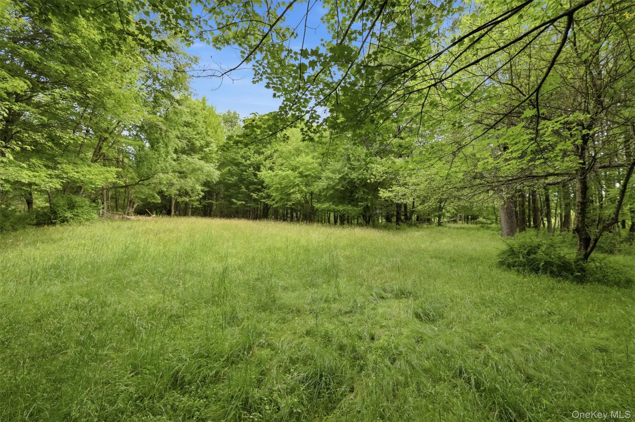 Endless opportunities with a beautiful mix of trees, open grassy areas, pond, stream. ferns and walking trails. This property has a little something for everyone. Also available with a 4 bedroom home. Endless opportunities with a beautiful mix of trees, open grassy areas, pond, stream. ferns and walking trails. This property has a little something for everyone. Also available with a 4 bedroom home.
