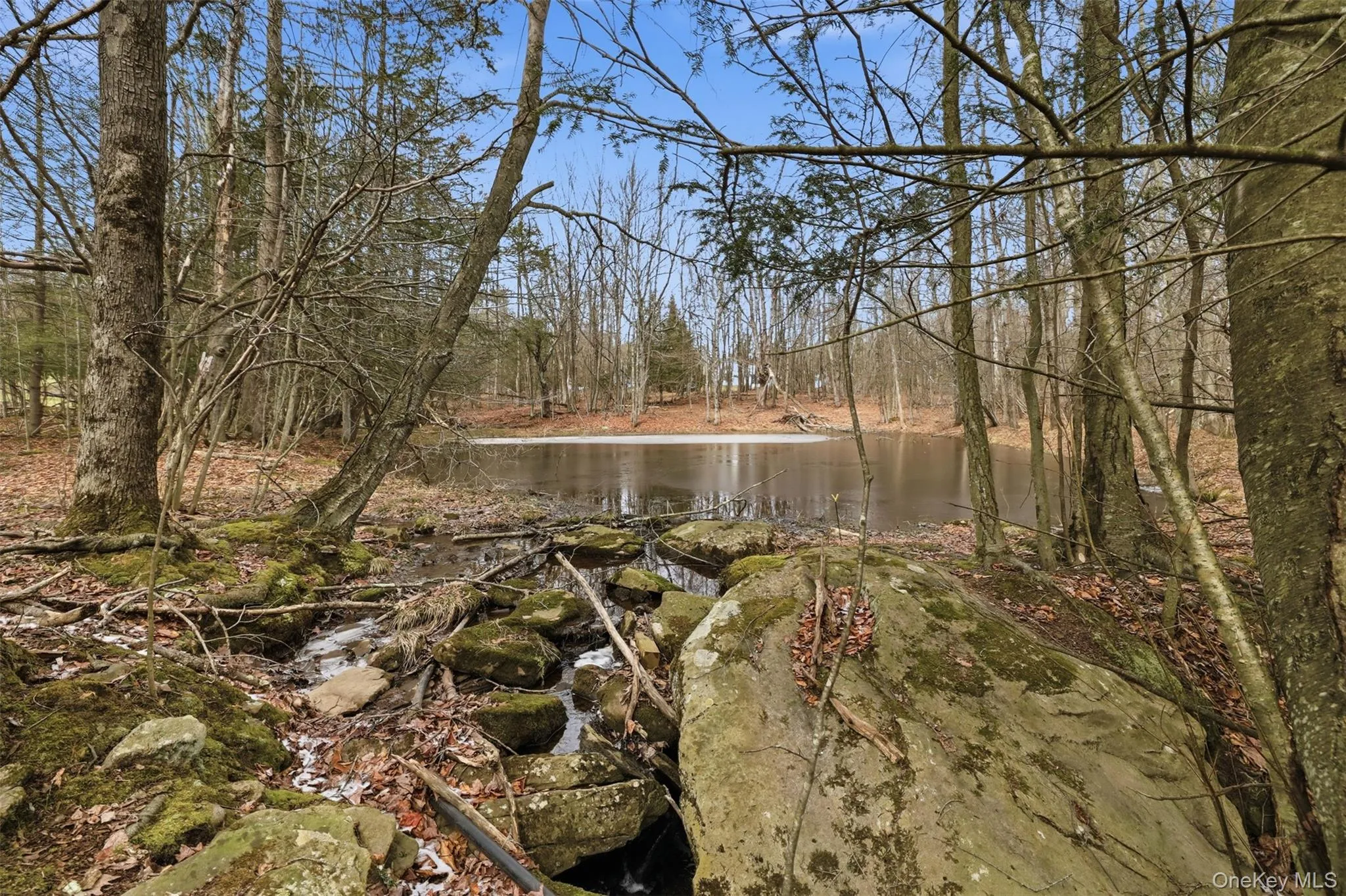 Late winter at the pond, ice is melting Late winter at the pond, ice is melting