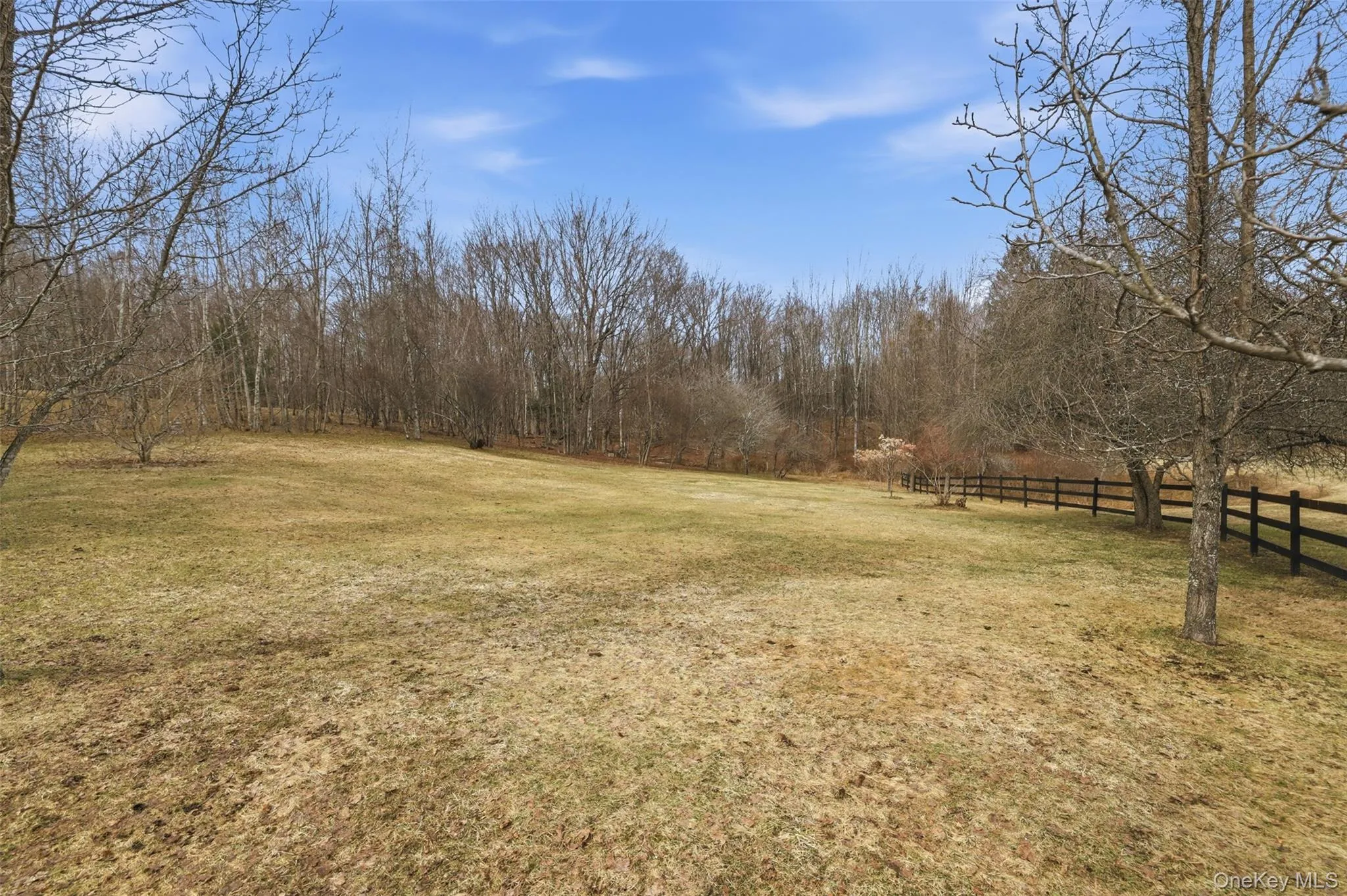 Open, grassy area in the winter Open, grassy area in the winter