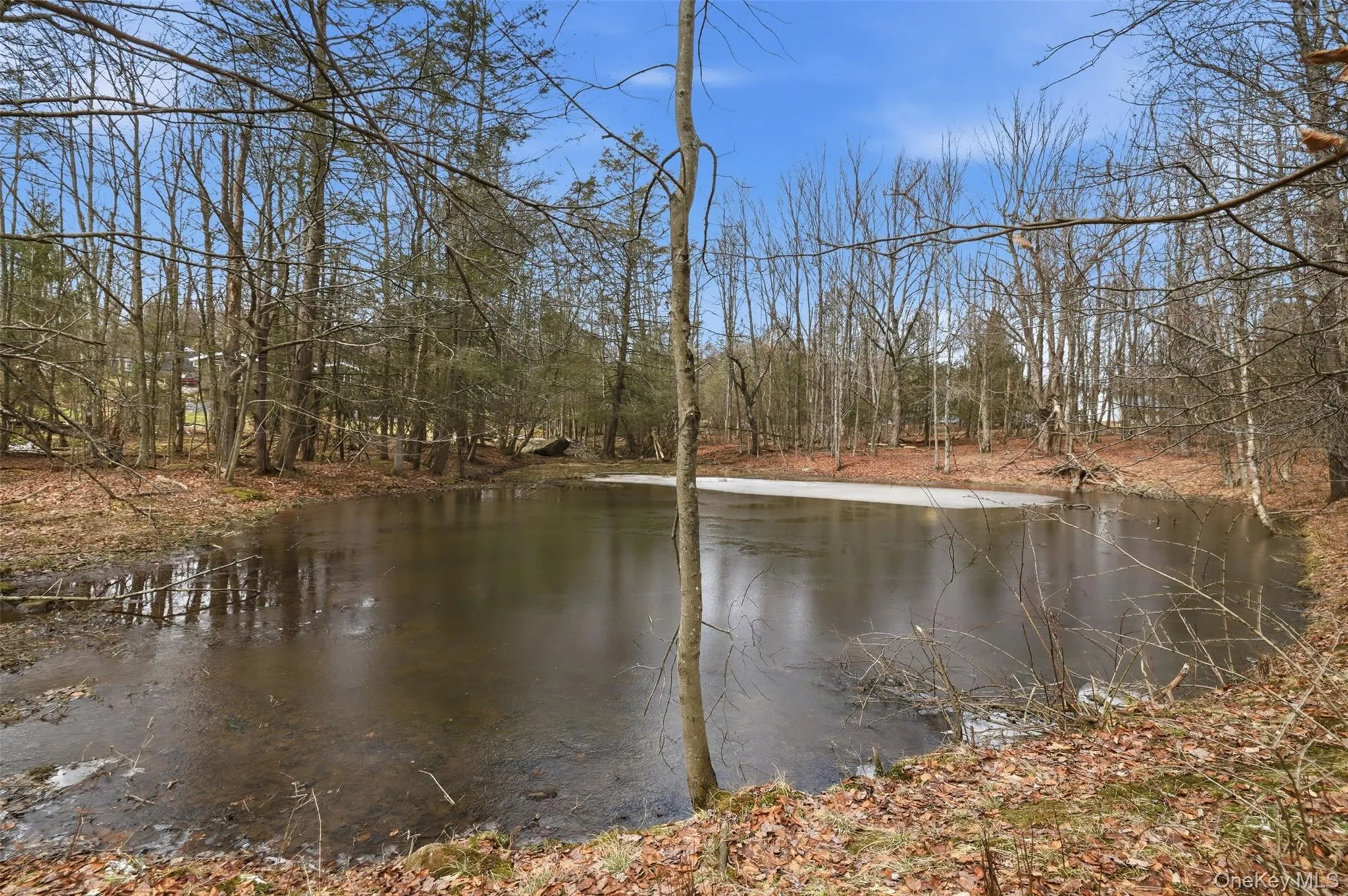 The pond thawing after a cold winter The pond thawing after a cold winter