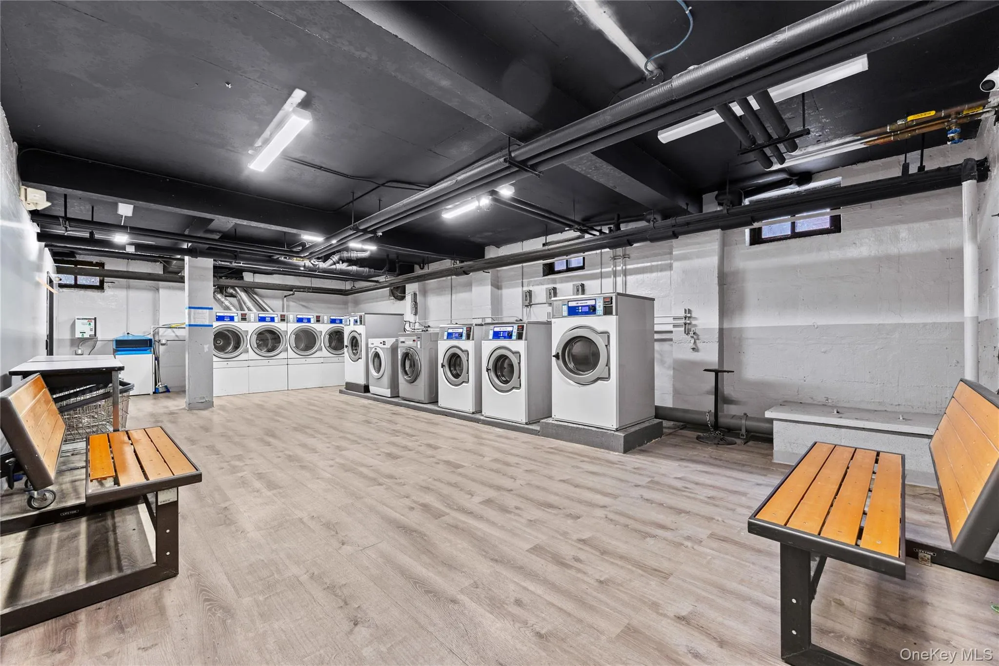 common laundry common laundry