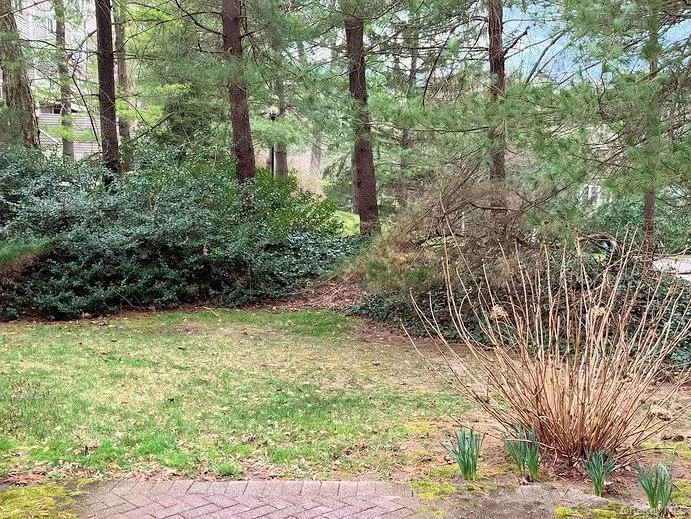 Patio View Patio View