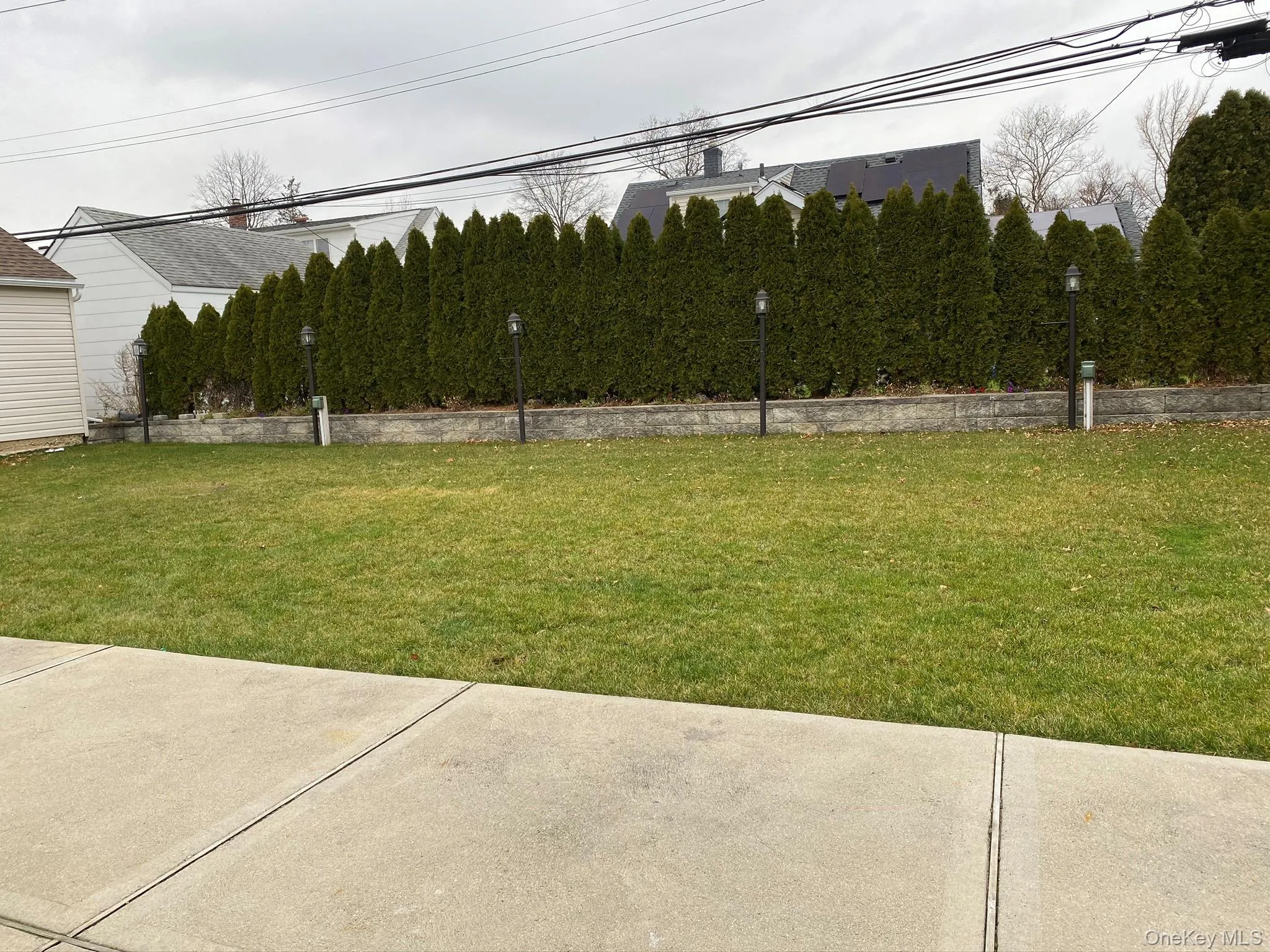 View of green lawn View of green lawn