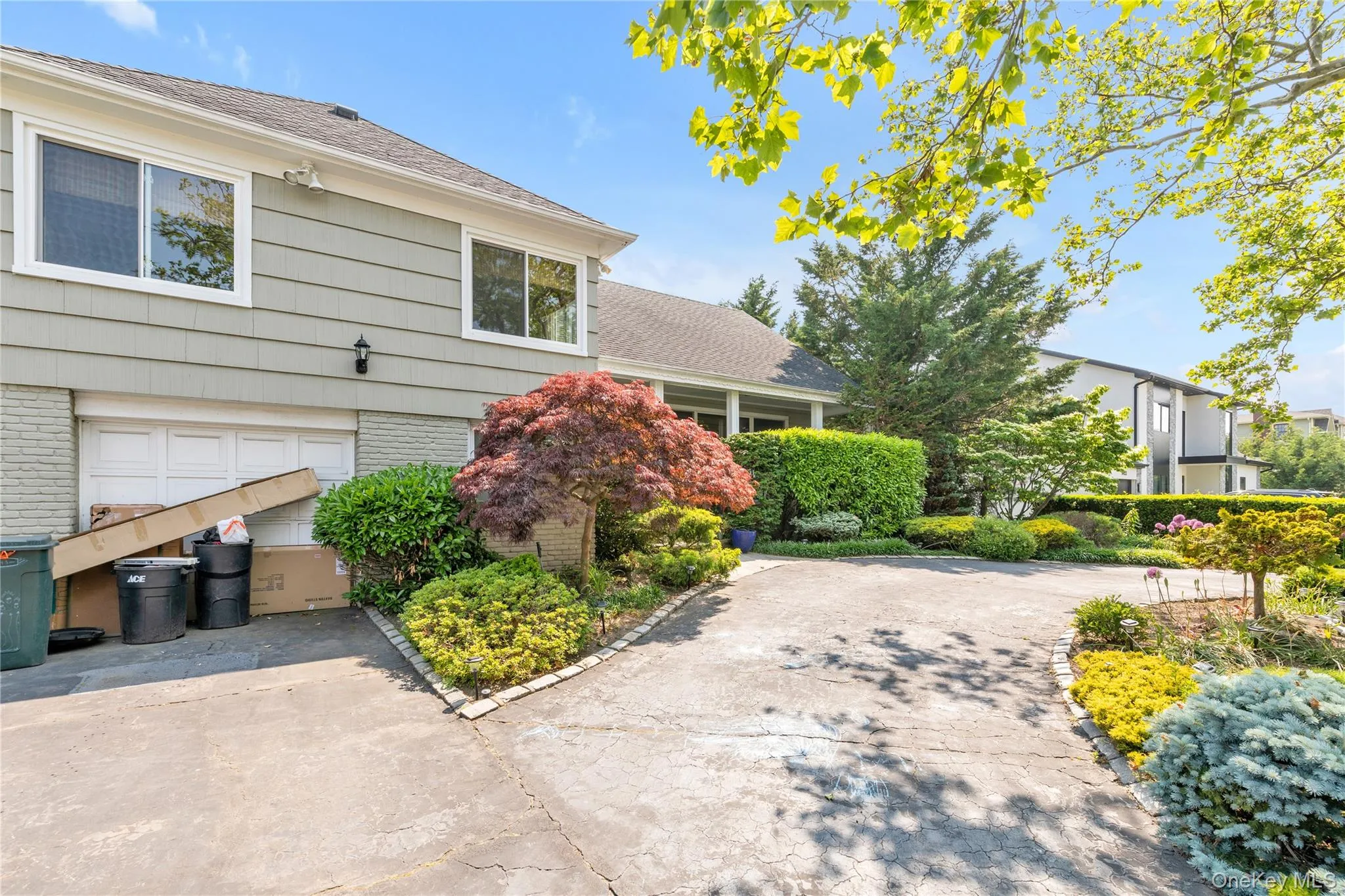 1443 Park Street, Hempstead, NY, 6 Bedrooms Bedrooms, 10 Rooms Rooms,4 BathroomsBathrooms,Residential Lease,For Rent,Park,0,969200 1443 Park Street, Hempstead, NY, 6 Bedrooms Bedrooms, 10 Rooms Rooms,4 BathroomsBathrooms,Residential Lease,For Rent,Park,0,969200